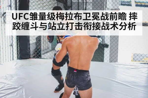 UFC雏量级梅拉布卫冕战前瞻 摔跤缠斗与站立打击衔接战术分析 | jiuyou